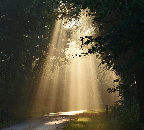 lighting-the-way