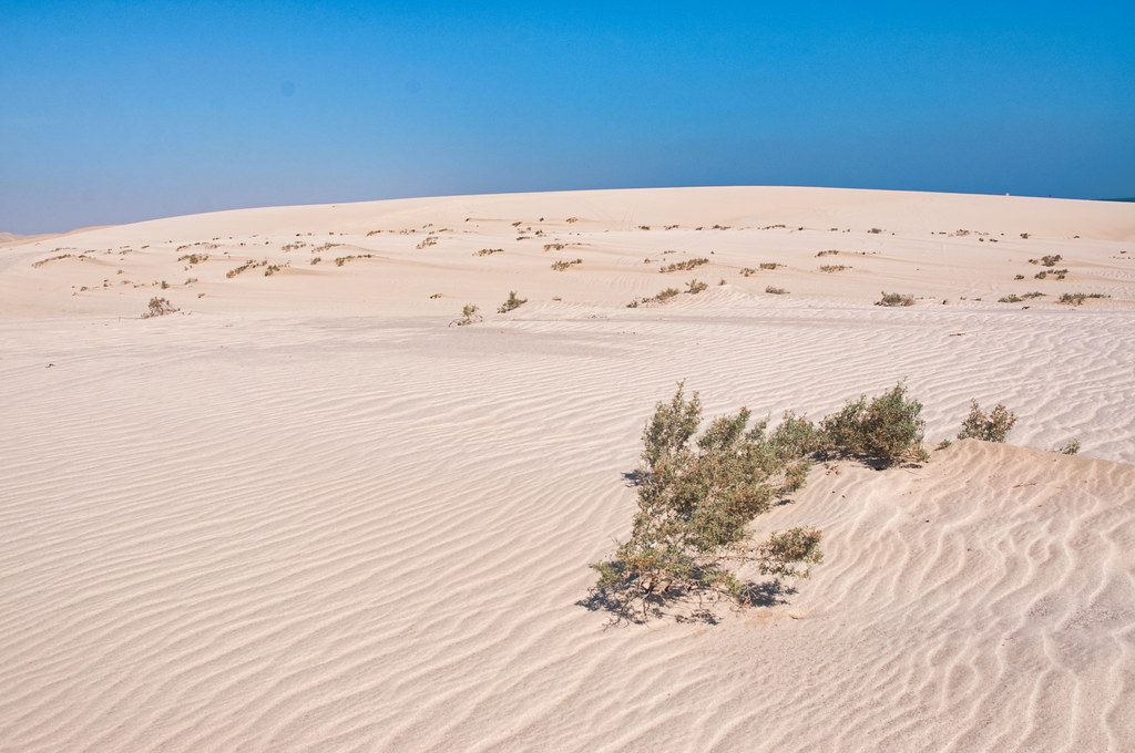 Ini 10 Tempat Terindah di Qatar