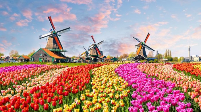 Mengenal Taman Keukenhof, Surganya Bunga Tulip