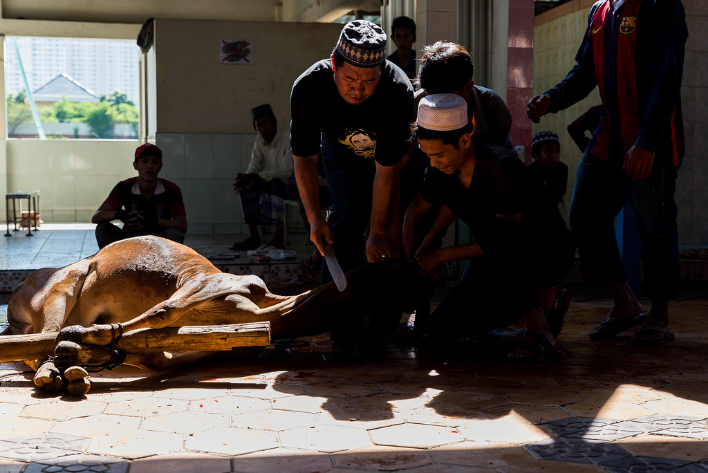 keutamaan qurban