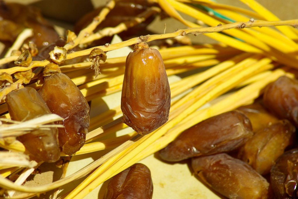 jenis kurma