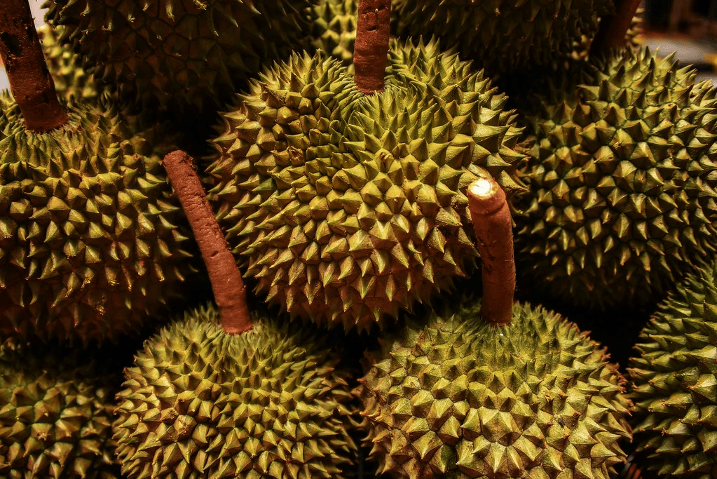 makanan untuk mudik 