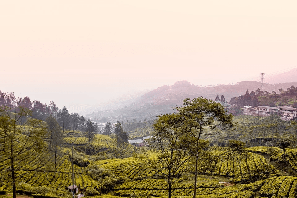 tempat wisata lebaran di bogor